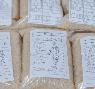 様々な品種のお米のサンプルを検査